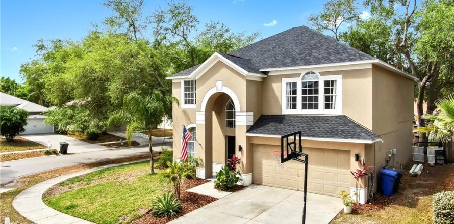 House in Valrico, Florida 4 bedrooms, 217.48 sq.m. № 1732204