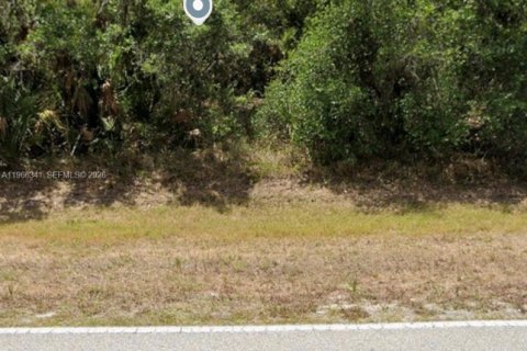 Land in Port Charlotte, Florida № 2158660 - photo 4