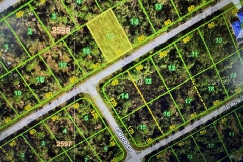 Terreno en Port Charlotte, Florida № 2196361