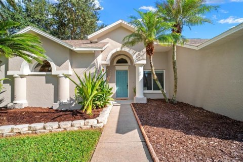 Villa ou maison à vendre à Valrico, Floride: 4 chambres, 245.63 m2 № 2395709 - photo 2