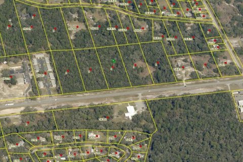 Land in Dade City, Florida № 1048234 - photo 4