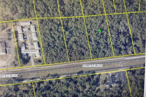 Land in Dade City, Florida № 1048234 - photo 2