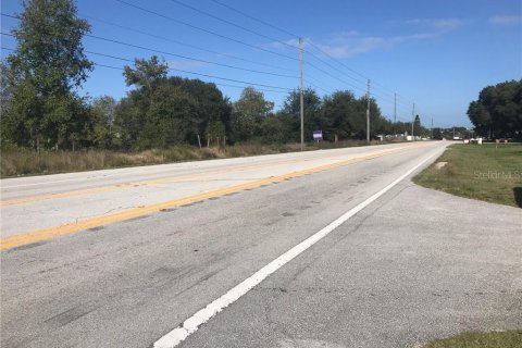 Land in Mascotte, Florida № 232015 - photo 7
