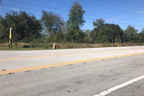 Land in Mascotte, Florida № 232015 - photo 8