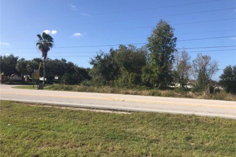 Land in Mascotte, Florida № 232015 - photo 4