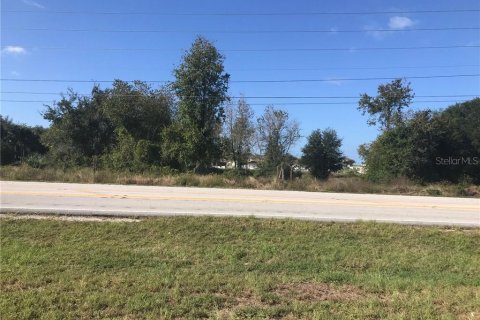 Land in Mascotte, Florida № 232015 - photo 5