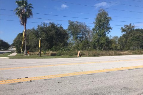 Land in Mascotte, Florida № 232015 - photo 3
