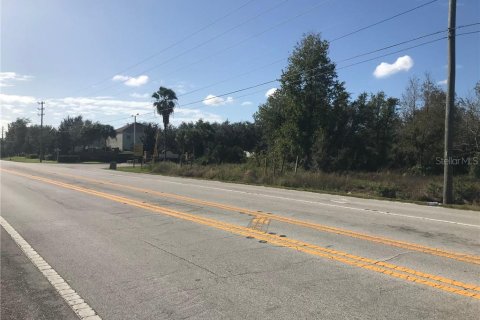 Land in Mascotte, Florida № 232015 - photo 6