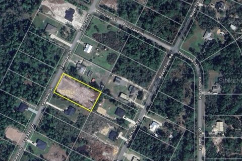 Land in Eustis, Florida № 1846763 - photo 3