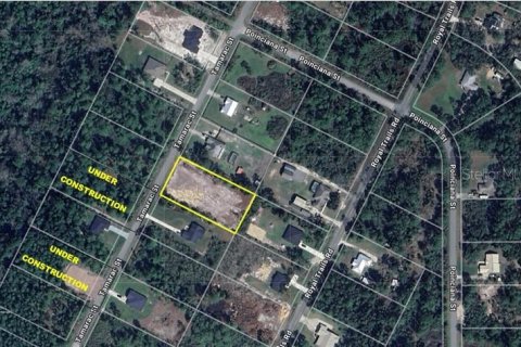 Land in Eustis, Florida № 1846763 - photo 2