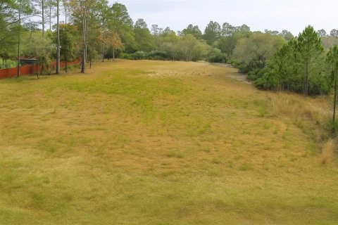Land in Eustis, Florida № 1846763 - photo 1
