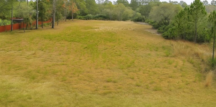 Land in Eustis, Florida № 1846763
