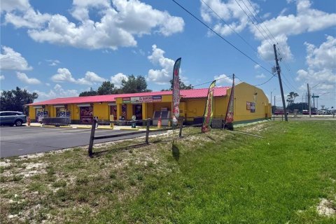 Immobilier commercial à Bartow, Floride № 2347418