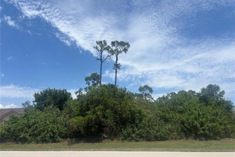 Land in Punta Gorda, Florida № 2159514