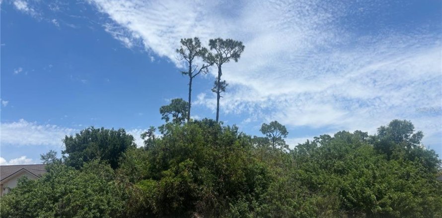 Land in Punta Gorda, Florida № 2159514