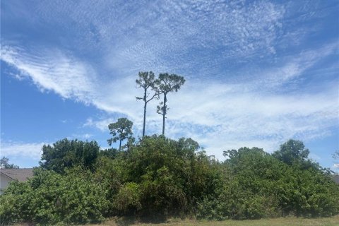 Land in Punta Gorda, Florida № 2159514 - photo 3