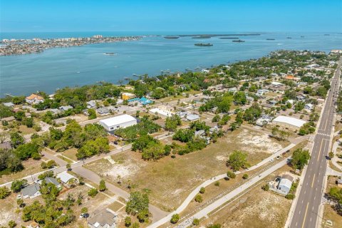 Land in Clearwater, Florida № 2101895 - photo 13