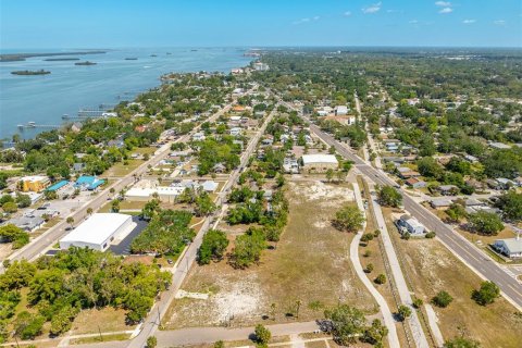 Land in Clearwater, Florida № 2101895 - photo 14