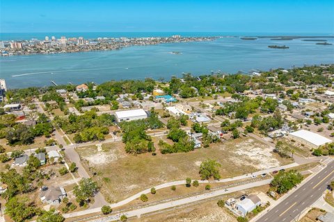 Land in Clearwater, Florida № 2101895 - photo 12