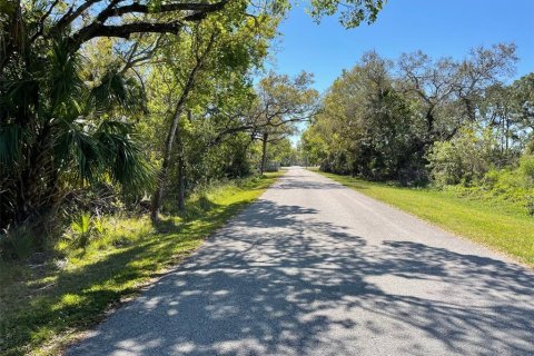Land in Sarasota, Florida № 338030 - photo 4