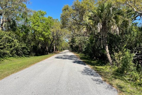 Land in Sarasota, Florida № 338030 - photo 5