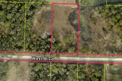 Land in Webster, Florida № 2159196
