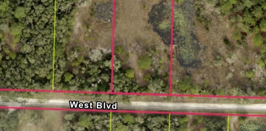 Land in Webster, Florida № 2159196