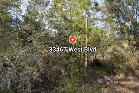 Land in Webster, Florida № 2159196 - photo 2