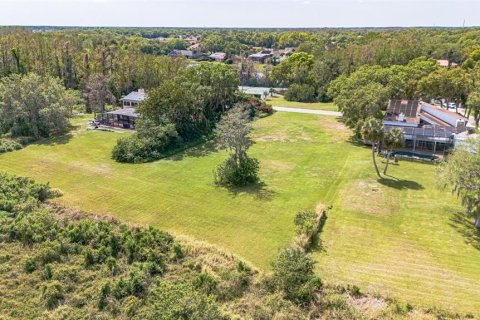 Land in Kissimmee, Florida № 1603187 - photo 14