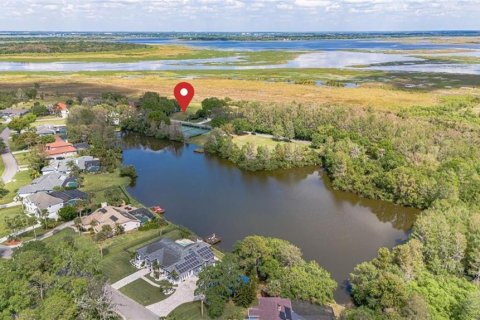 Land in Kissimmee, Florida № 1603187 - photo 2