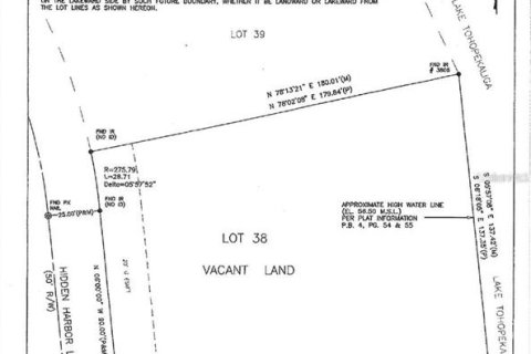 Land in Kissimmee, Florida № 1603187 - photo 4