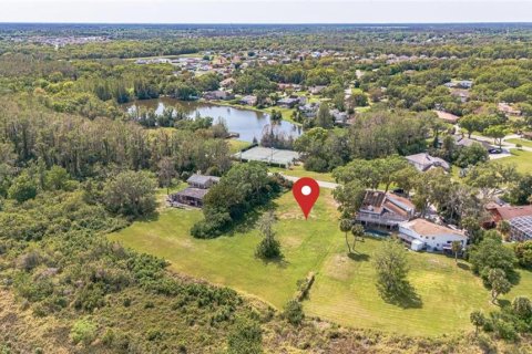 Land in Kissimmee, Florida № 1603187 - photo 15