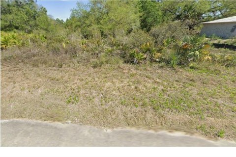 Land in Lehigh Acres, Florida № 2377867