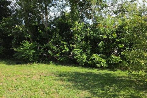 House in Ocala, Florida 4 bedrooms, 248.98 sq.m. № 2198496 - photo 8