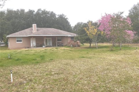 Villa ou maison à vendre à Leesburg, Floride: 3 chambres, 243.78 m2 № 2220222 - photo 2