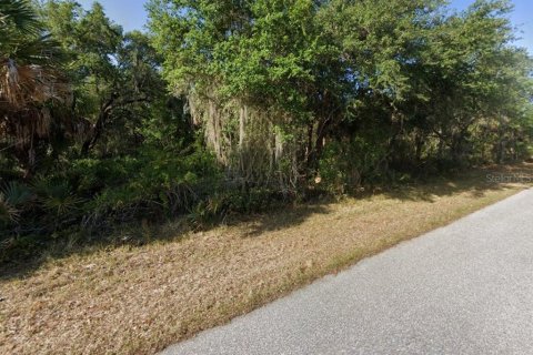 Land in Port Charlotte, Florida № 2158705 - photo 3