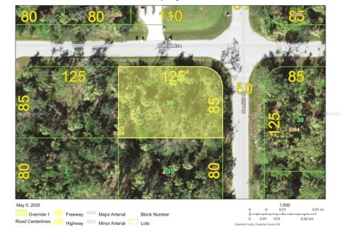 Land in Port Charlotte, Florida № 2158705 - photo 2