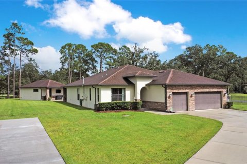 Casa en venta en Orlando, Florida, 5 dormitorios, 315.31 m2 № 1910622 - foto 3