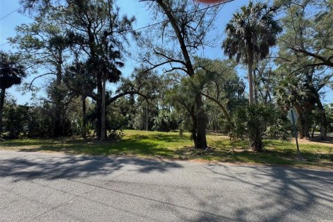 Land in New Port Richey, Florida № 2163447 - photo 3