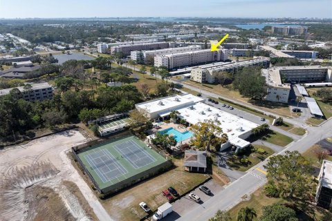 Condo in Saint Petersburg, Florida, 2 bedrooms  № 1566069 - photo 26