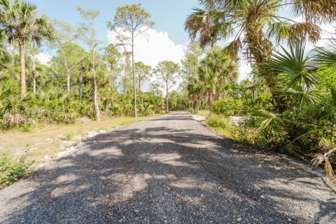 Купить виллу или дом в Нейплс, Флорида 3 спальни, 204.01м2, № 2044645 - фото 6