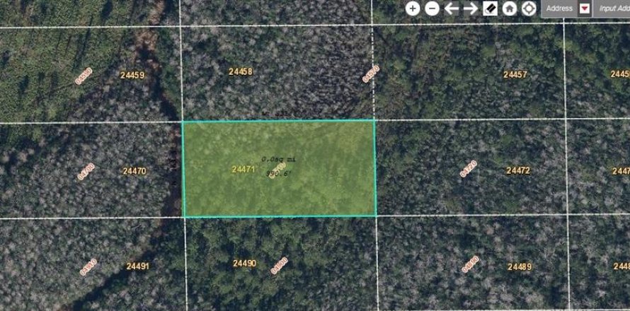 Land in Orlando, Florida № 2218733