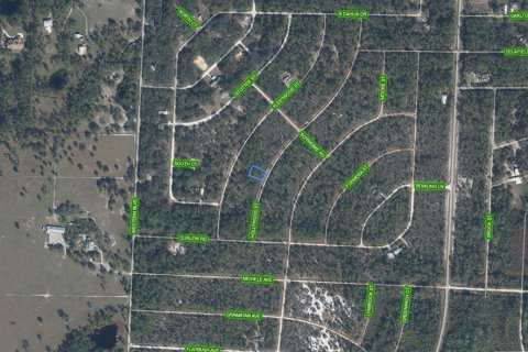Land in Lake Placid, Florida № 2370856 - photo 3