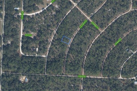 Land in Lake Placid, Florida № 2370856 - photo 2