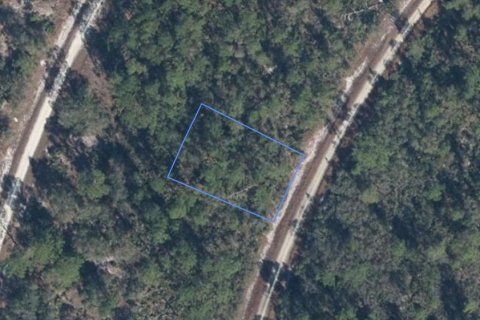 Land in Lake Placid, Florida № 2370856