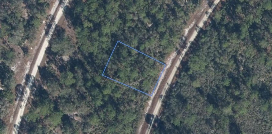 Land in Lake Placid, Florida № 2370856
