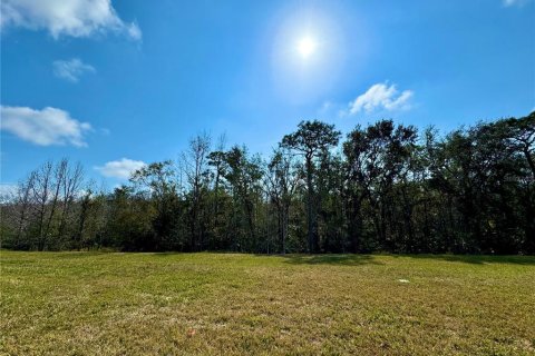 Villa ou maison à vendre à Poinciana, Floride: 3 chambres, 216 m2 № 1722571 - photo 14