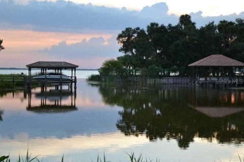 Land in Tavares, Florida № 882916 - photo 10