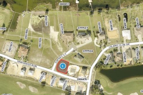 Land in Tavares, Florida № 882916 - photo 3