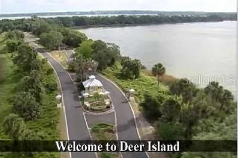 Land in Tavares, Florida № 882916 - photo 1